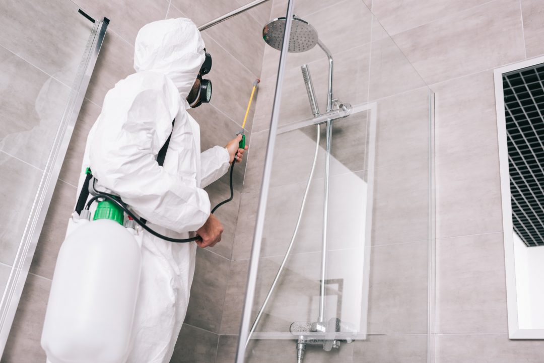 woking pest control, Domestic Services